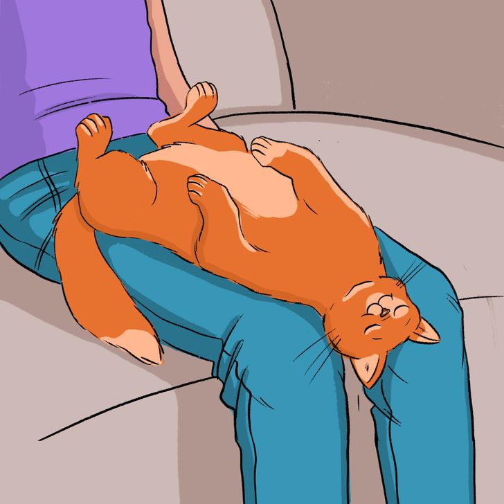 6a507b5586a58a6e1e9b37b208