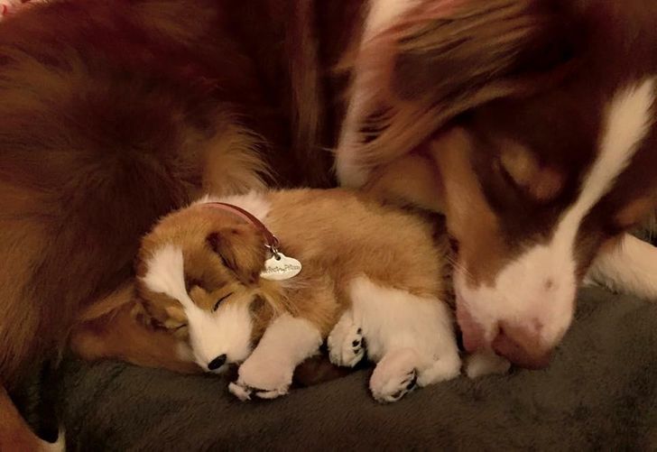 6a510754fa849e29f1fb82d10a