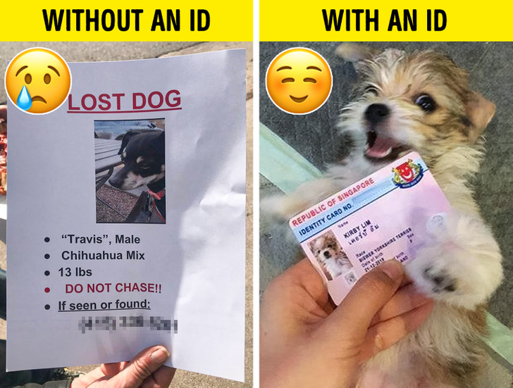 6a569f55e5bc5fcf5ac455c74b