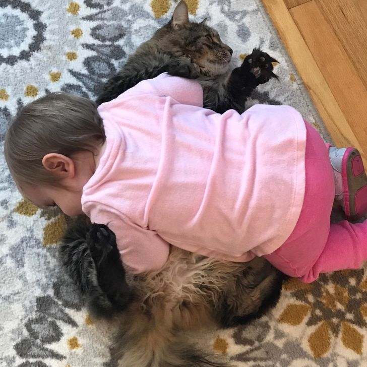 6a56cf5e13a3b43307f03751c3