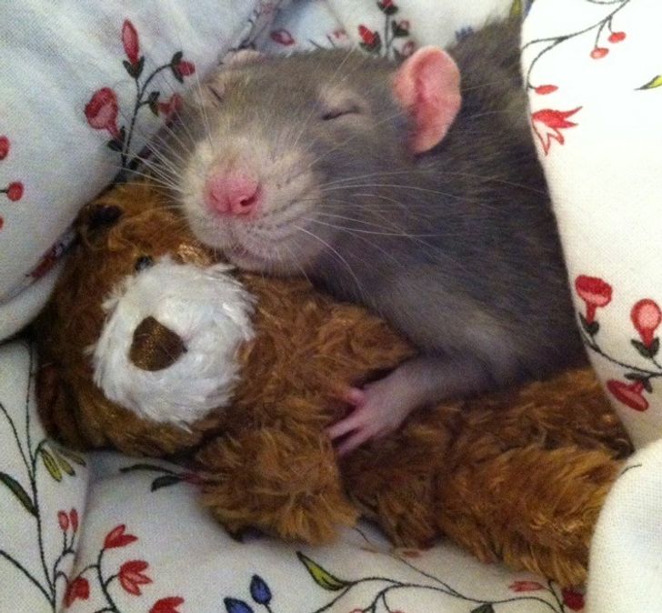 6a5a2a59e684ee374efb0bcd68