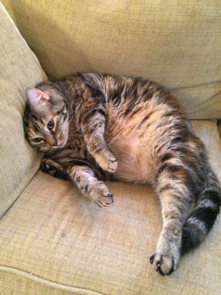 6a5c375b948e40fa5848c23d3e