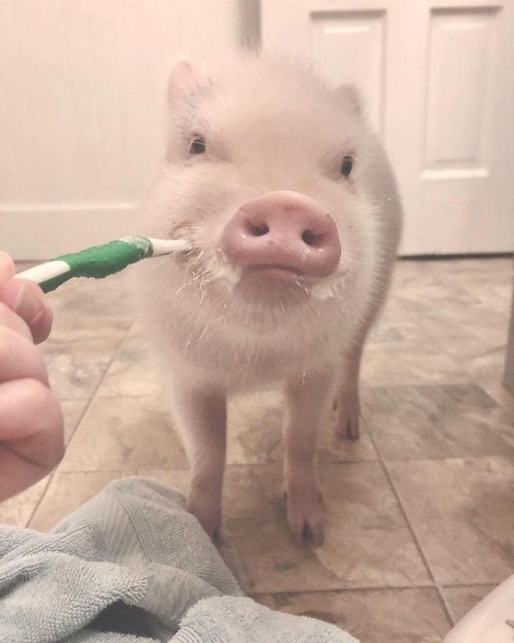 6a5fc250cebdeedf26b48f78ac