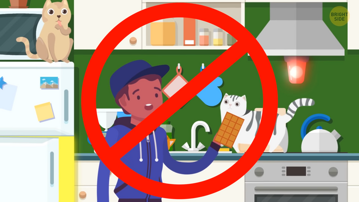 6a64525708a2172d7a3c848969