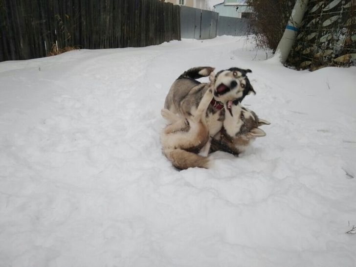 6a6f2f5b90aee421611ef92230