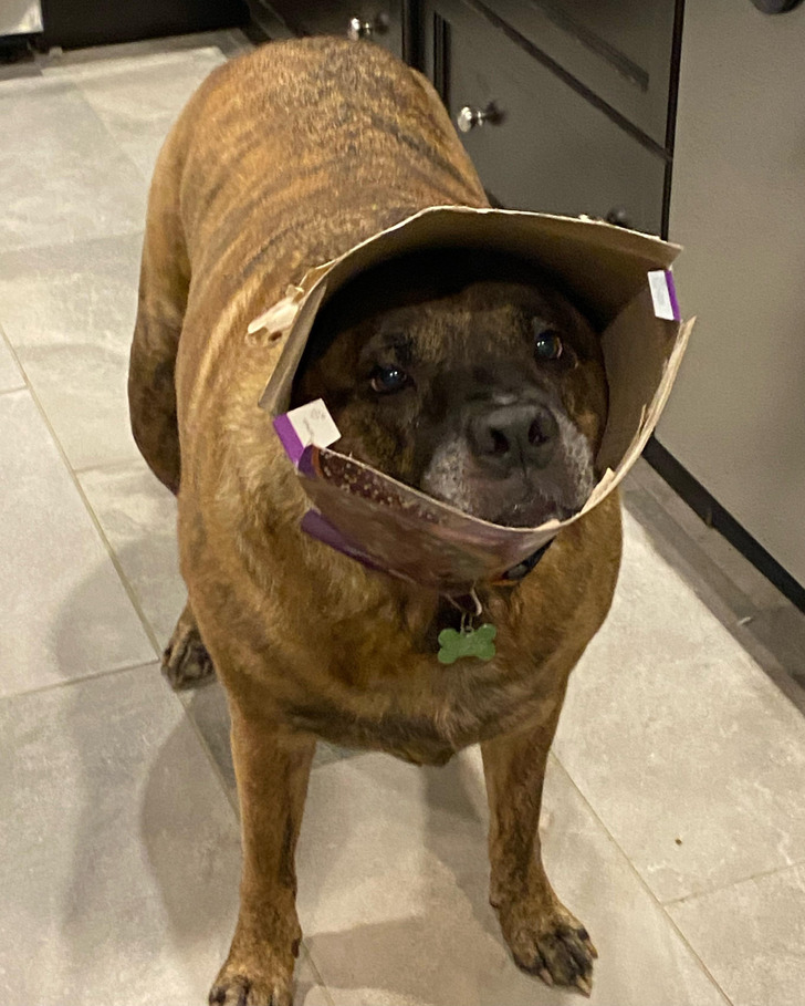 6a72d459d790083fc987f4c12f 6a72d459d790083fc987f4c12f