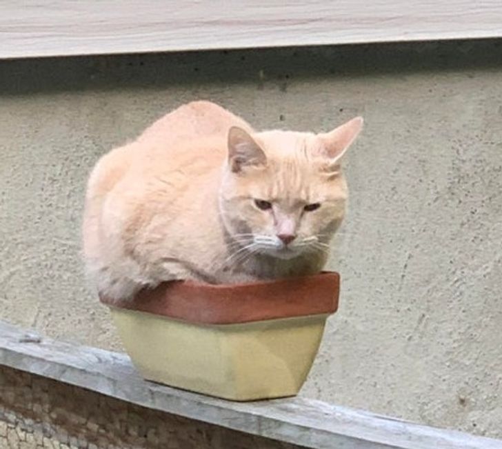 6a737d5376bd31213cfd2a8601