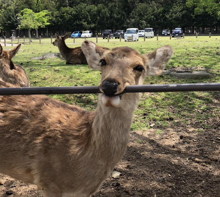 6a76265f2f94597725e9fad279