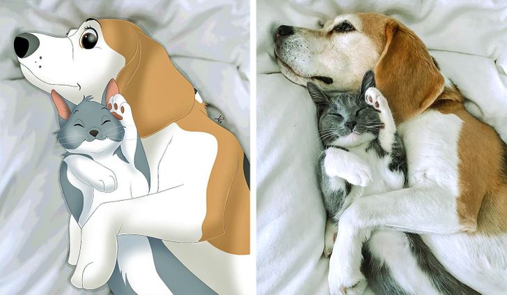 6a794d552184ad08a218d87ce8