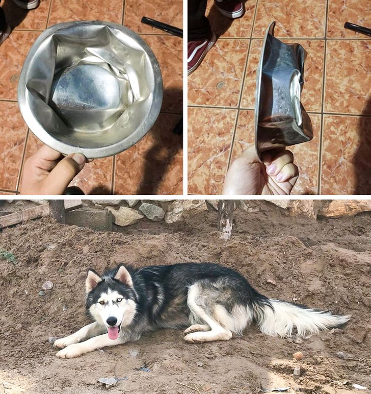 6a85425df8821f881c475ef2db