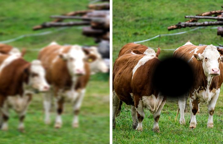 6a8d3e571aaea0f7f1f9b7902c