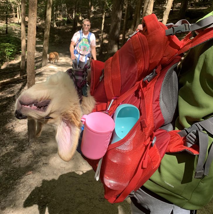 6a8e9957eb9fed25871d7d1cca 6a8e9957eb9fed25871d7d1cca