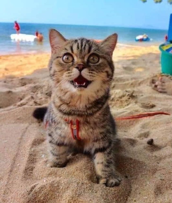 6a8edf5ba68d5b2beed25689bb