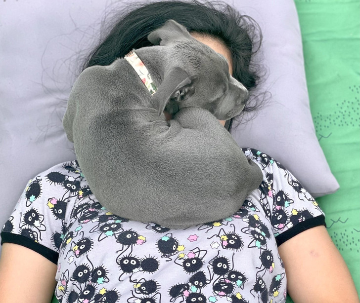 6a984c52e68bcac3d945a248ea 6a984c52e68bcac3d945a248ea