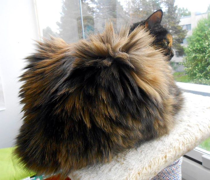 6a98ae5e25827408952a4247ff