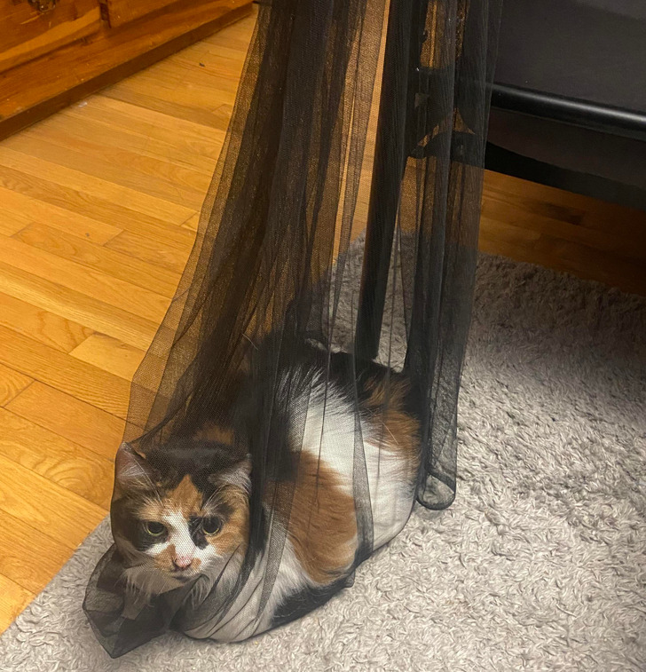 6aa7bc5bdd822b3a2817ac08ba 6aa7bc5bdd822b3a2817ac08ba