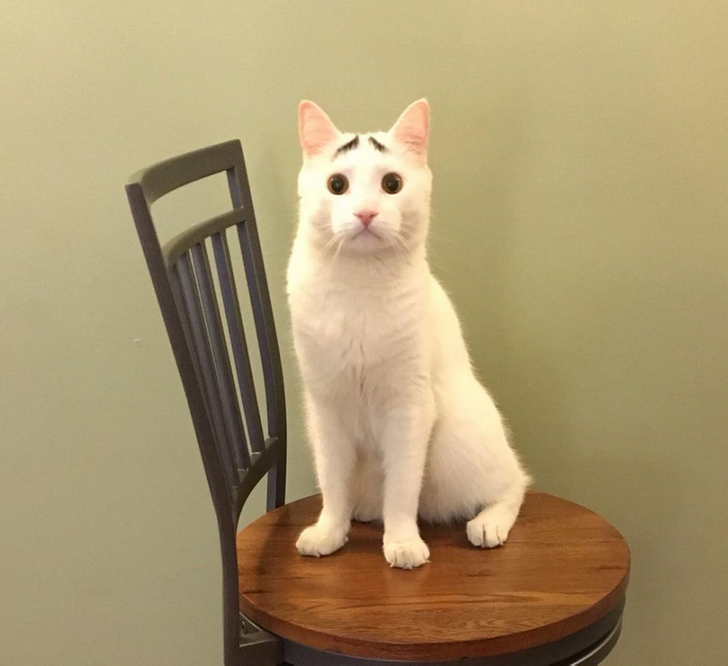 6aa8255a379d96f1110a0114f2