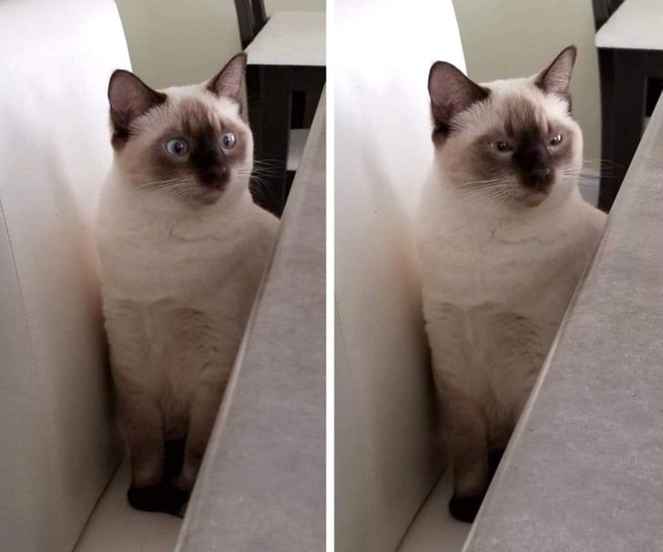 6aa8da5e11bff28391aebca067