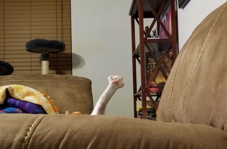 6aa985555d8d1a411a035428d6