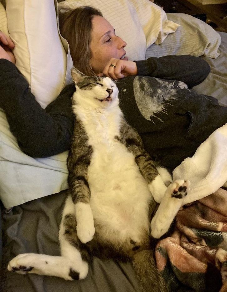 6aaa4955bf9c83c85c9e787429 6aaa4955bf9c83c85c9e787429