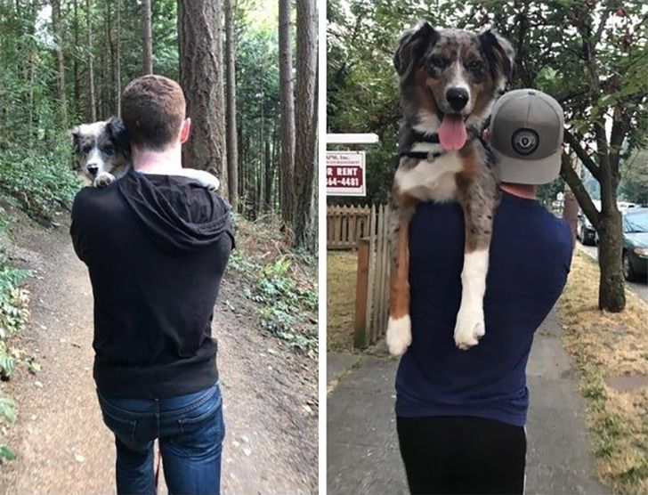 6aae3e568f8259cdb30565329c