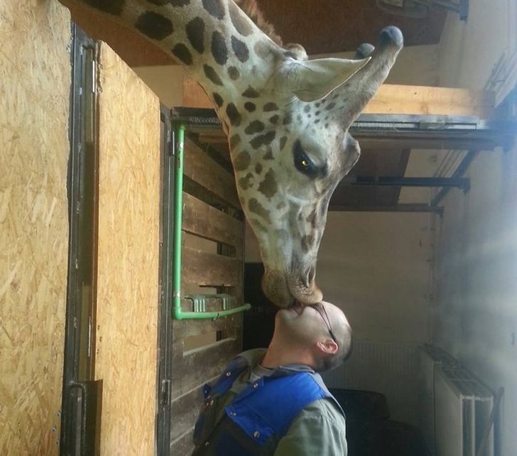 6ab2115bba9c8f0a8107b16fcf