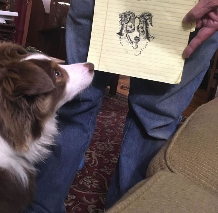 6ab77e5543847e7230e609f309