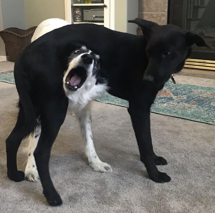 6aba6f5e92aed4da413cc5854b