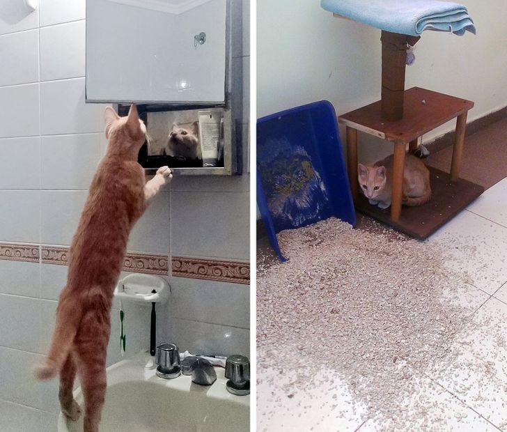 6ac0f55a2782966ca746f902af