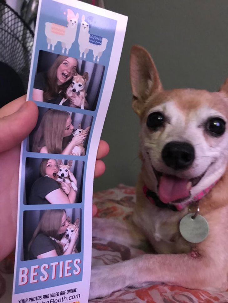 6ac8c35c688b427a0b52a594ca