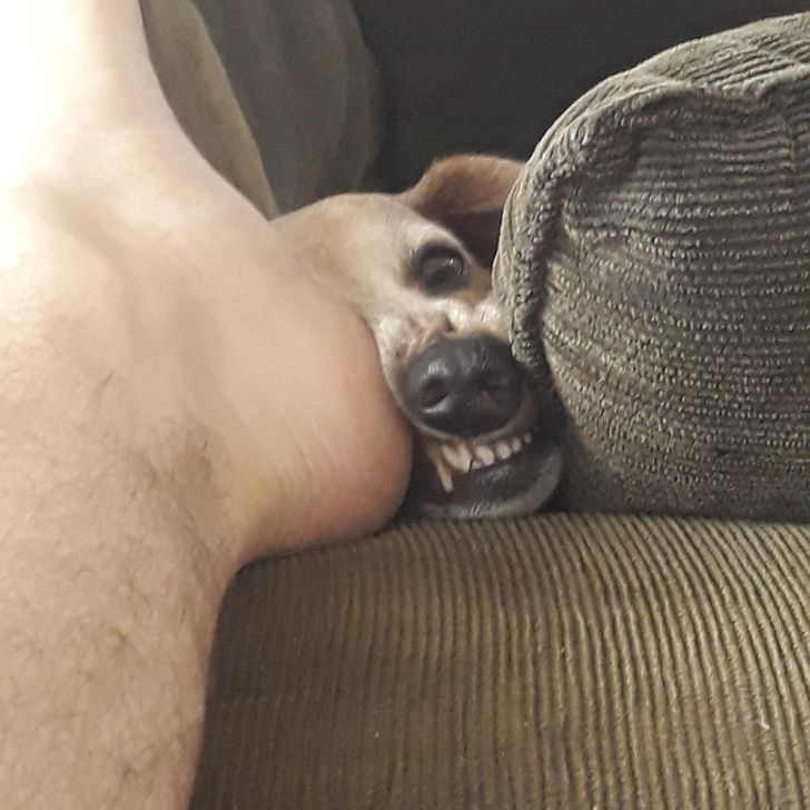 6ada1b5399ab01dd36e2464bf5