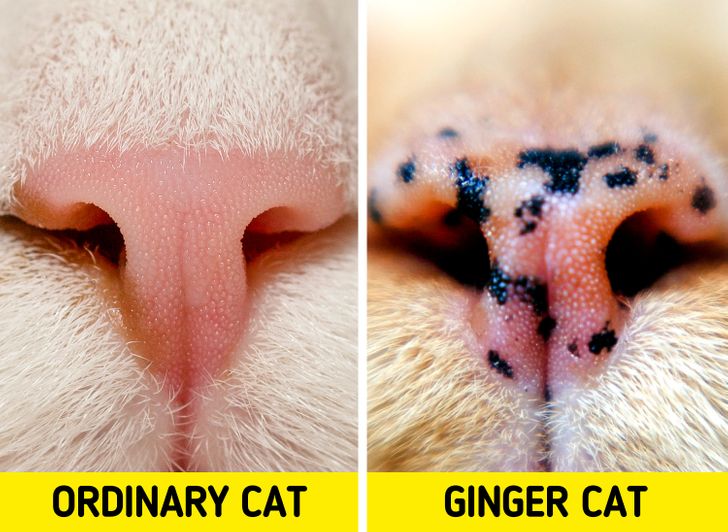 6adab056e7bcf25767fd67bf97