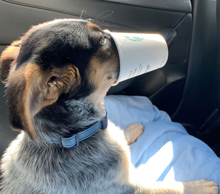 6ade165c4cb671b477481e0a76