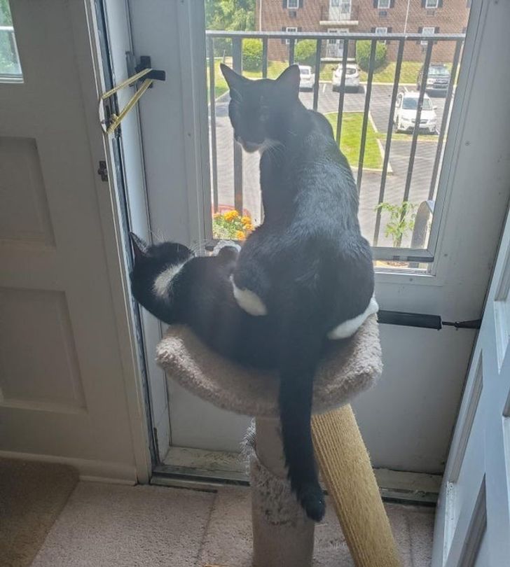 6ae15d53758152ab744cd2b2a4