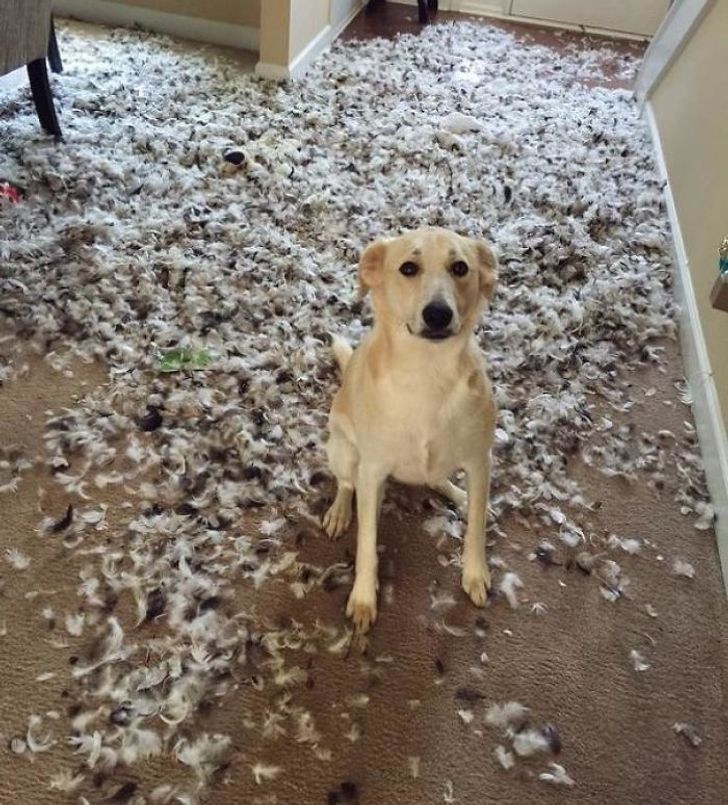 6ae58b53c081951b6c8673027d