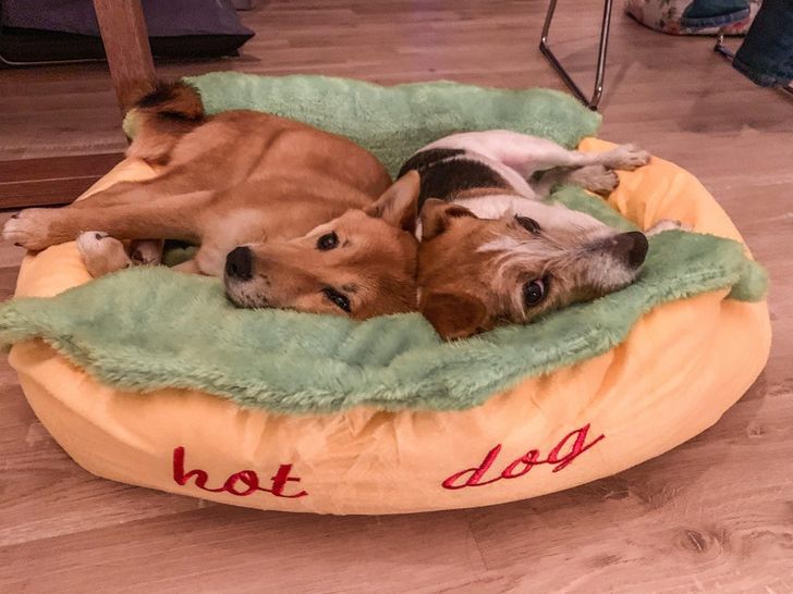 6aec815a609fc9043b668db31a