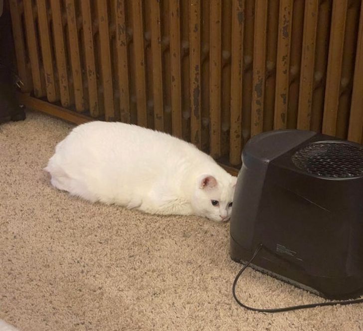 6aec9954d1a31183934c10602e