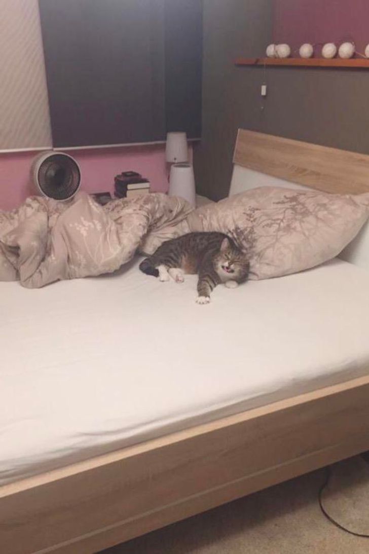 6af08e53ed95a44ccc0d958a47