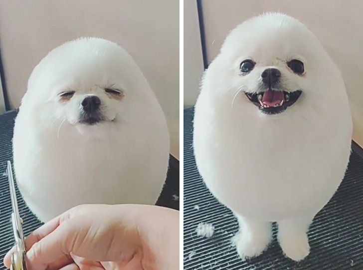 6af1db5e81b8e408a9ba10c0c8