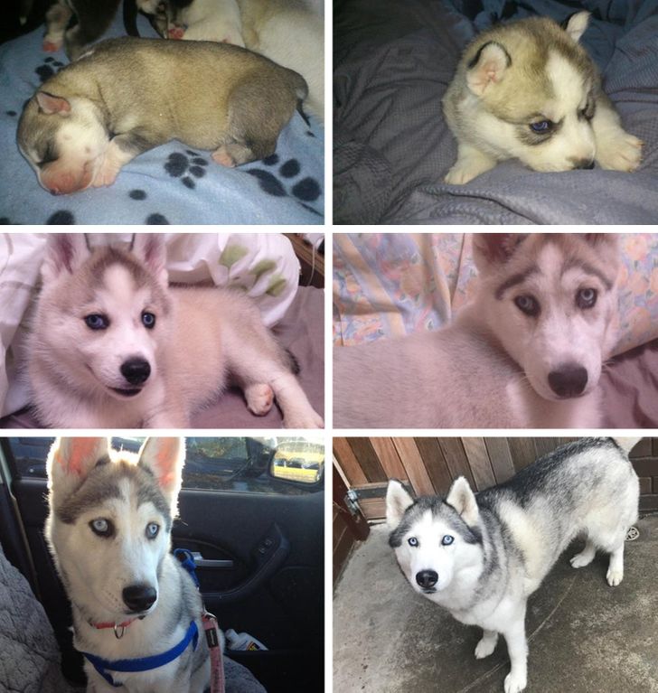 6af5c95234ba56ae7a406a05a7