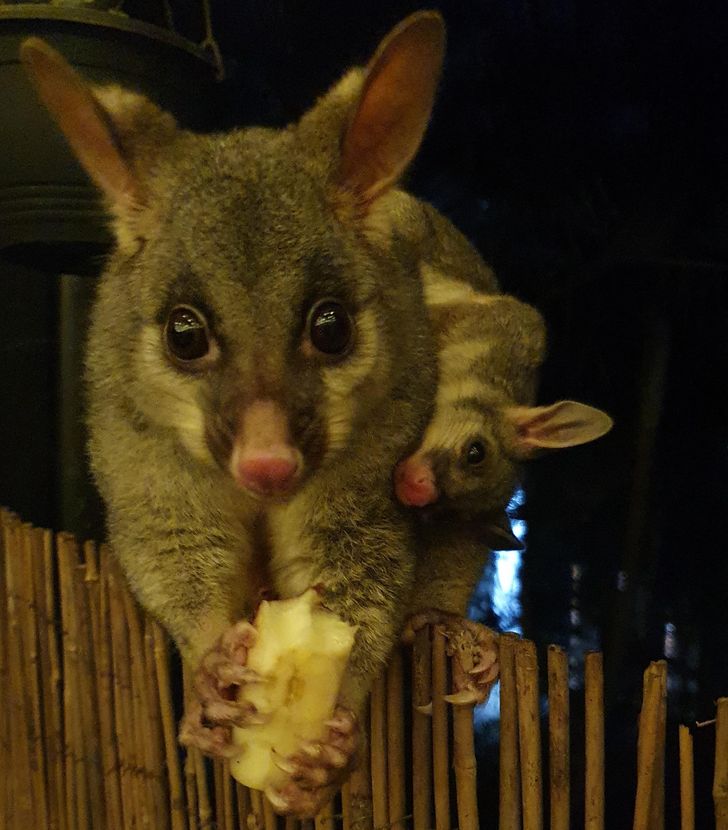 6af6145e17afbb84c0a6af846f