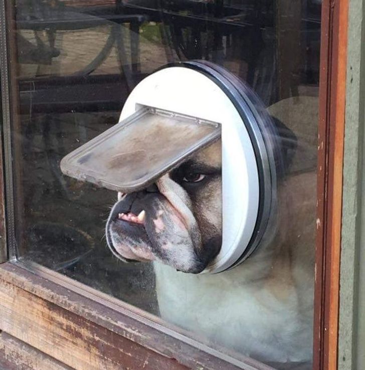 6af8045f65be5cb143bbfa7366