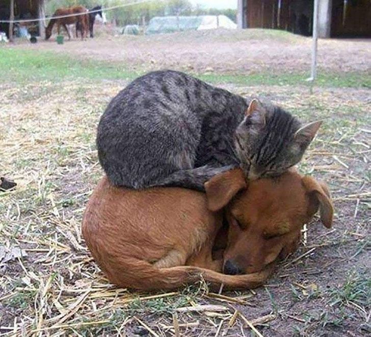 6afd9959f19c67099162dc7222