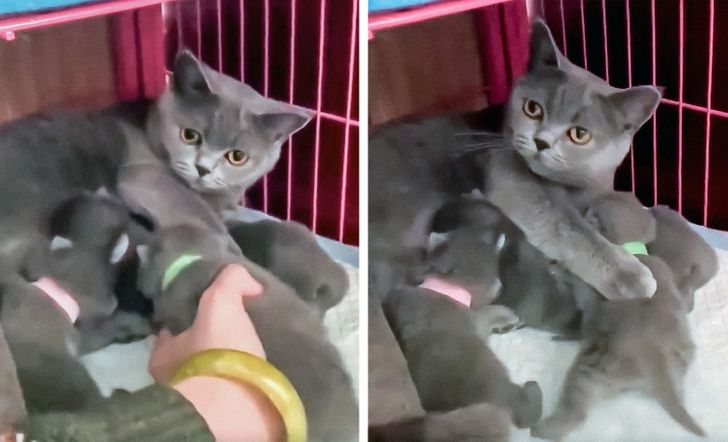 6b096c594d836a31b16979bce5