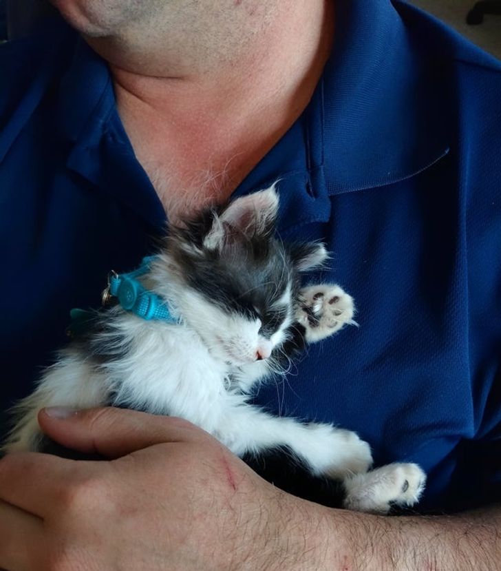 6b0ed654eb83b605644fd9185e