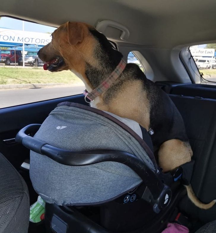 6b15545bc3b2f06666591cced5