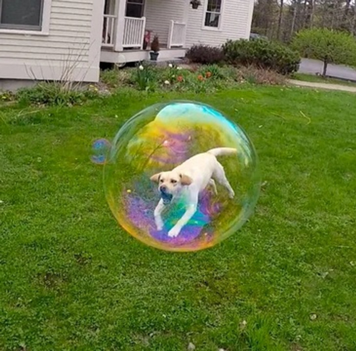 6b15665c189ca76821359d292d