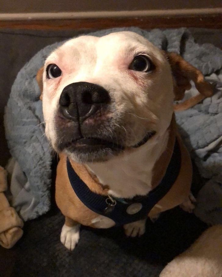 6b1abc5e5890957de0e4c8e697 6b1abc5e5890957de0e4c8e697