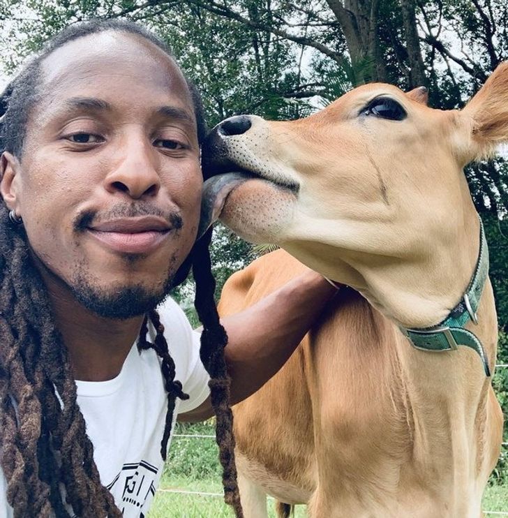 6b1dae5a5f9ec9e48173226278