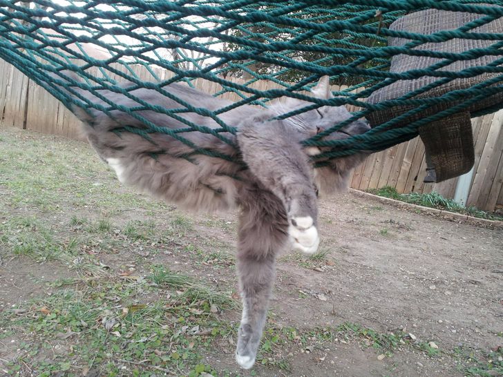 6b208d579bb8c479b75b09b89a